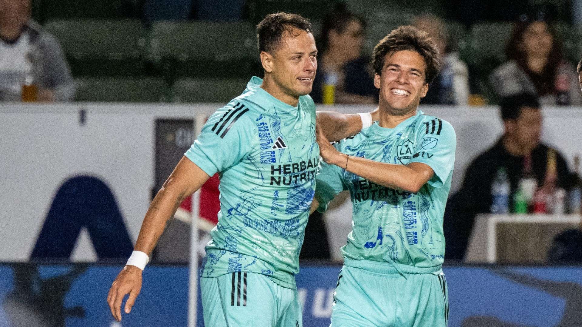 是本菲卡有 是本菲卡有