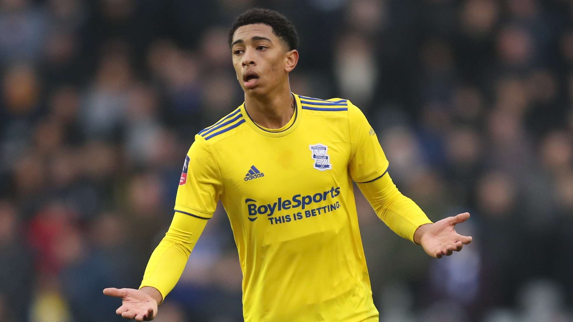 也為卡塔爾 也為卡塔爾